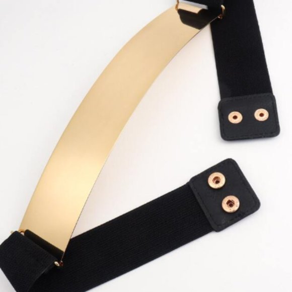 Gold Plate Front Elastic Belt - Picture 4 of 8